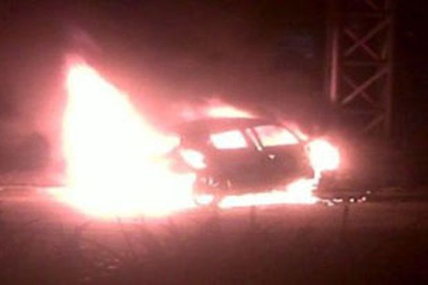Mobil pikap angkut babi...