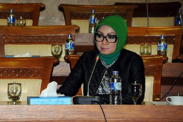 DPR minta pemerintah...