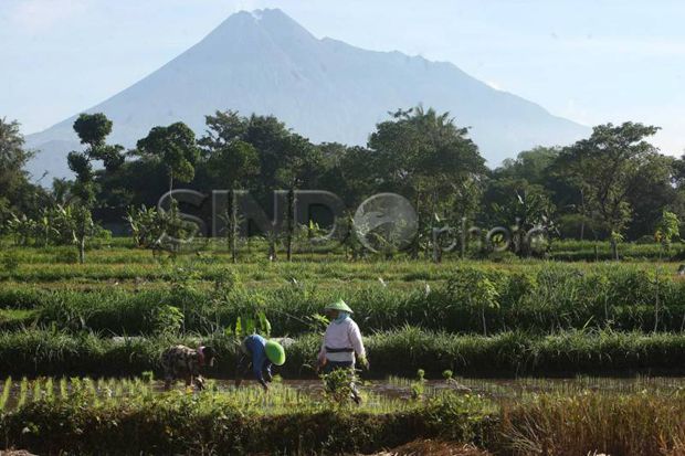 Aktivitas vulkanik Gunung...