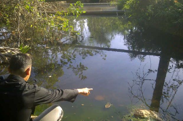 Sungai berubah warna...
