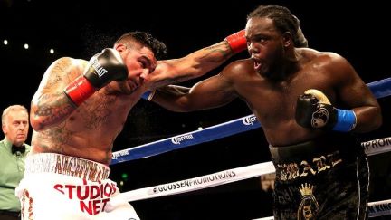 Wilder sesumbar Stiverne...