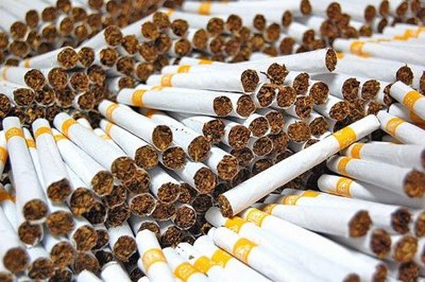 Pemerintah dinilai bunuh...
