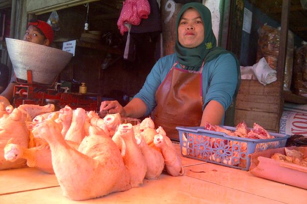 Harga Daging Ayam di...