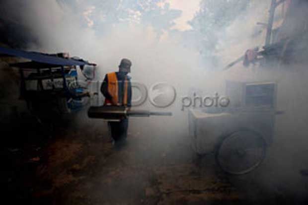 Demam Berdarah Serang...