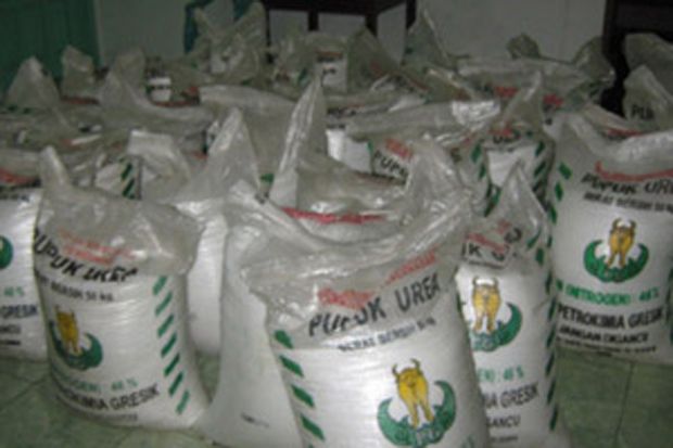 Stok Pupuk Urea di Pasuruan...