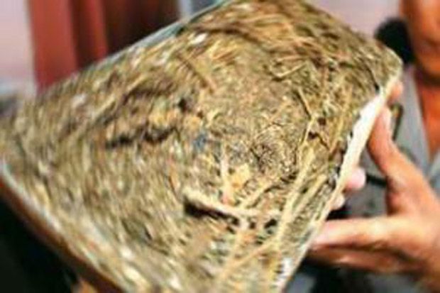 Polisi Amankan 10 Kg...