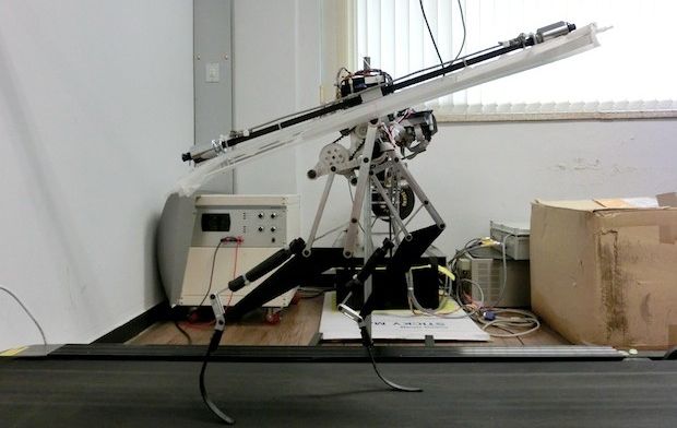 Raptor Robot Pelari...