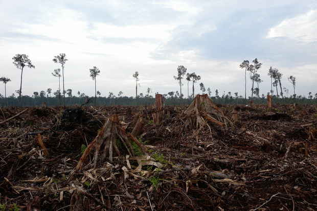 WWF Gagal Kelola Taman...
