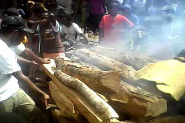 Suku Dani Bakar Korban...