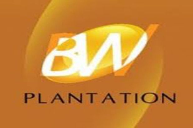 BW Plantation Bagi Dividen...