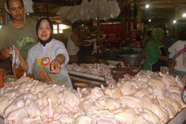 Harga Ayam di Majalengka...