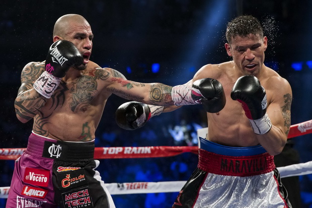 Miguel Cotto Ditantang...