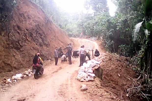 Hutan Lindung Perhutani...