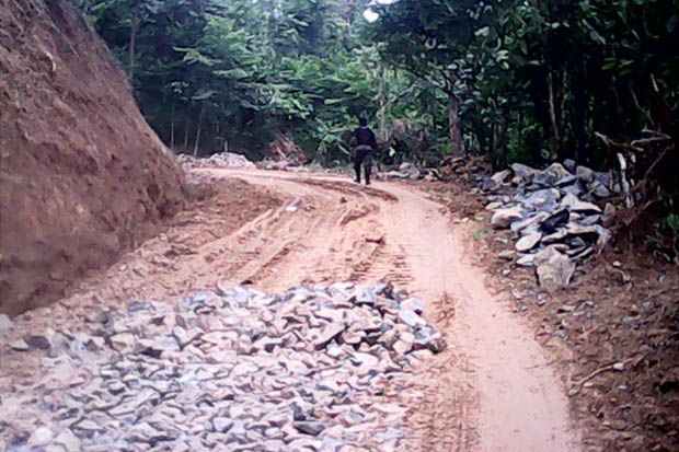 Pembabatan Hutan Lindung...