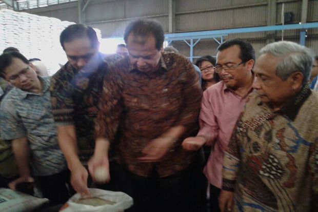 Pantau Harga Beras,...