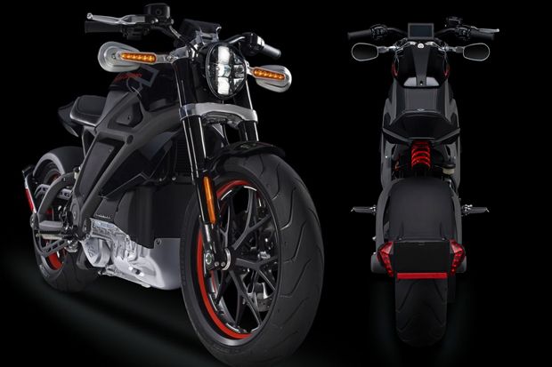 Harley Davidson Bikin...