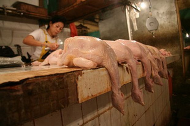 Harga Daging Ayam Mengakak...