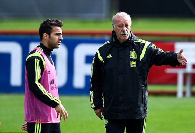 Bosque dan Fabregas...