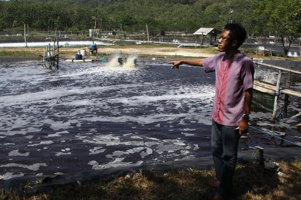 Perhutani Sulap Hutan...