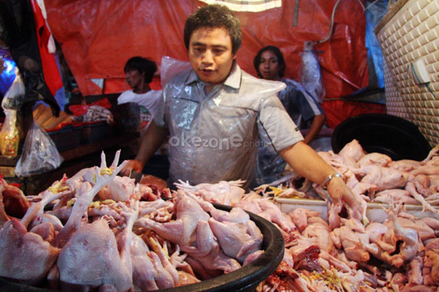 Awas, Makanan Mengandung...