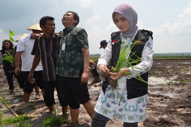 Hatta Beri Kado Istimewa...