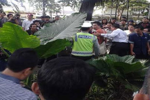 TPS Jokowi Ricuh, Pengunjung...