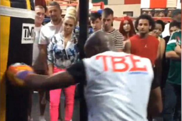 Mayweather-Medina Umbar...