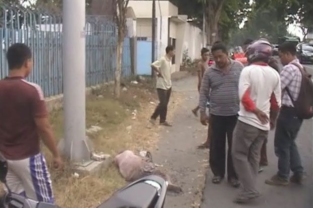 Nenek Sekarat Dikerubuti...