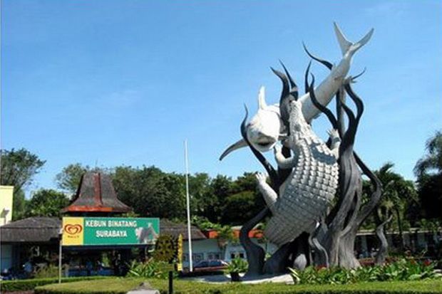 Dewan Minta Penggusuran...