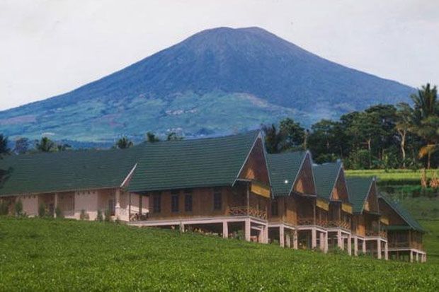 Gempa Pagaralam Picu...