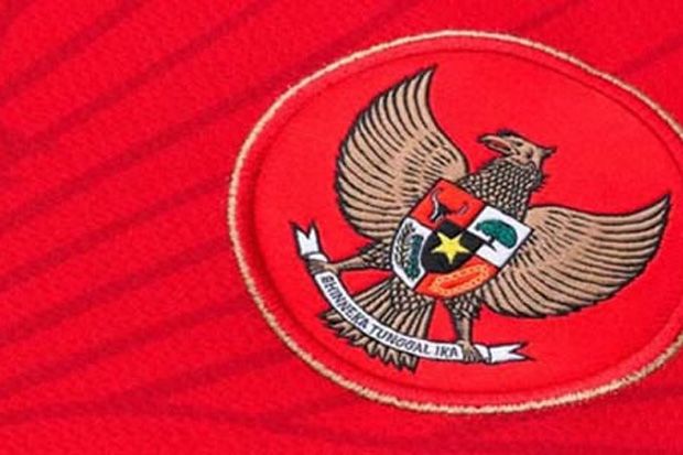 Juarai MNC Cup, Timnas...