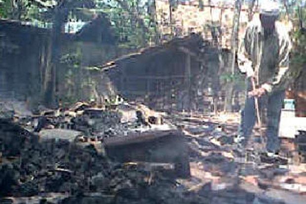 Kandang Terbakar, Sapi...