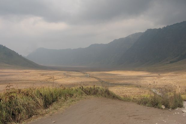 Kebakaran Savana Bromo...