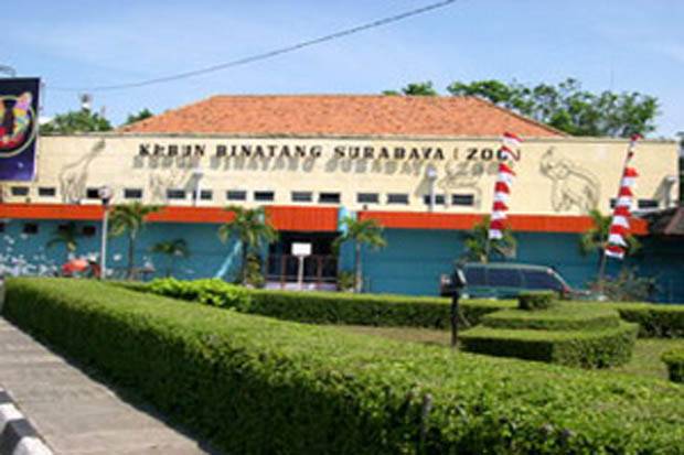 Direksi KBS Bantah Belum...