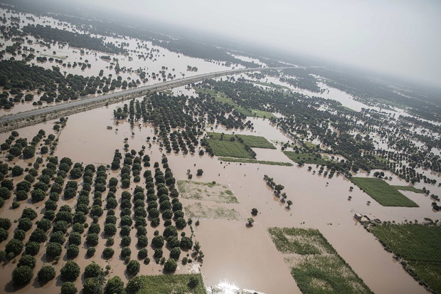 9 WNI Korban Banjir...