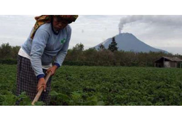 2.027 Pengungsi Sinabung...