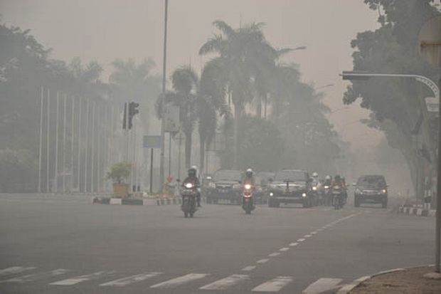 Warga Pekanbaru Mulai...