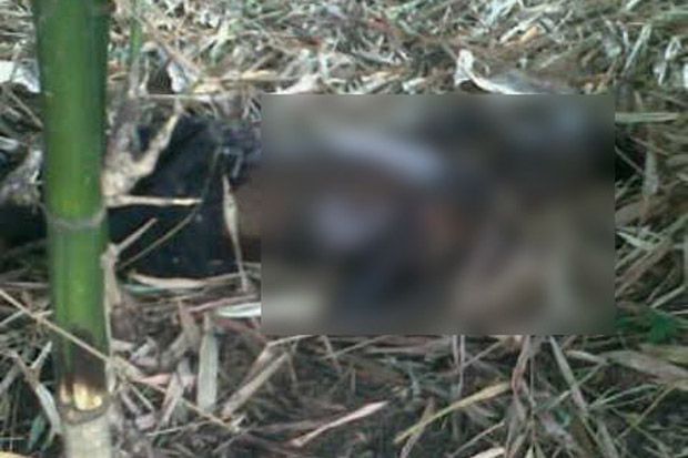 Petani Temukan Mayat...