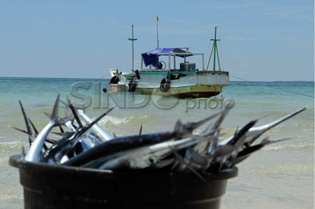 Impor Ikan Asin