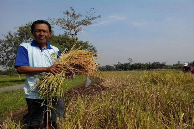 To Suprapto, Pelopor...