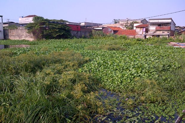 Penataan Kampung Apung...