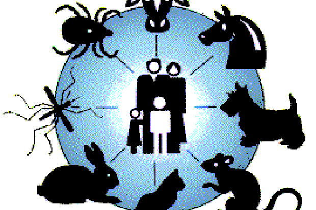 Laboratorium Zoonosis...