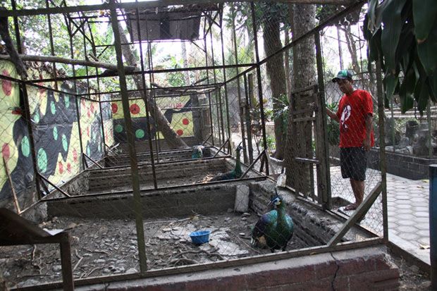 Kebun Binatang Mini...