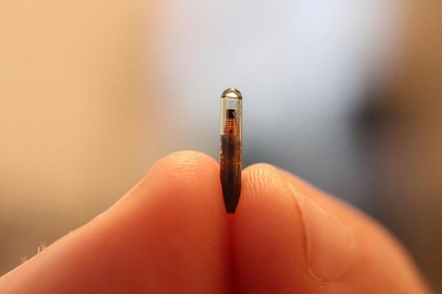 NFC Chip Ditanam di...