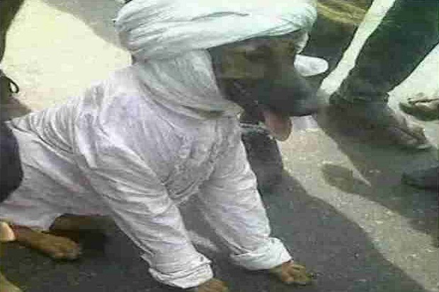 Beredar Foto Anjing...