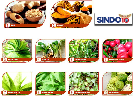 10 Tanaman Paling Bermanfaat...