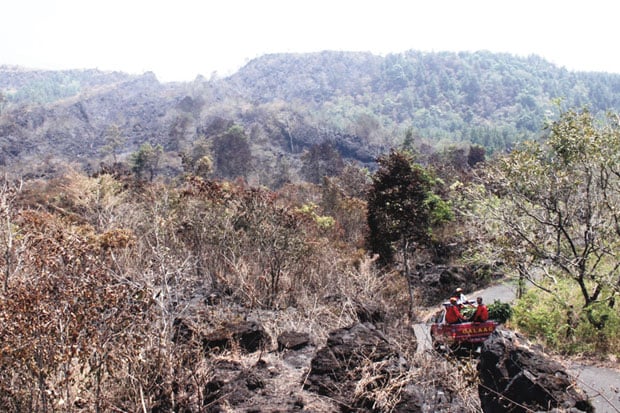 Hutan Gunung Haruman...