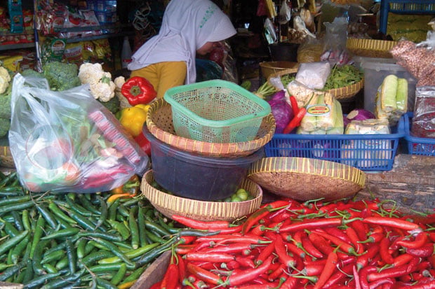 Harga Cabai Tembus Rp40.000/Kg