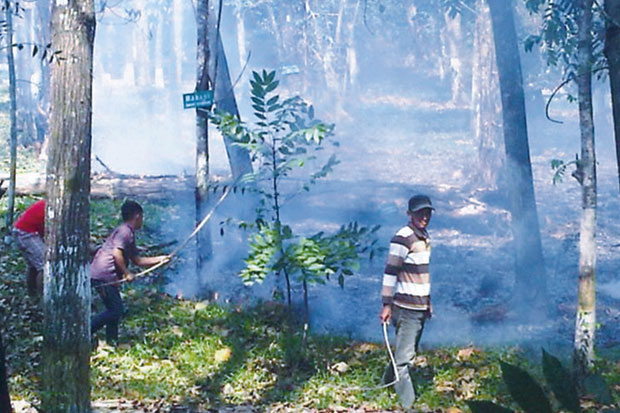 Hutan Kota Nyaris Ludes...