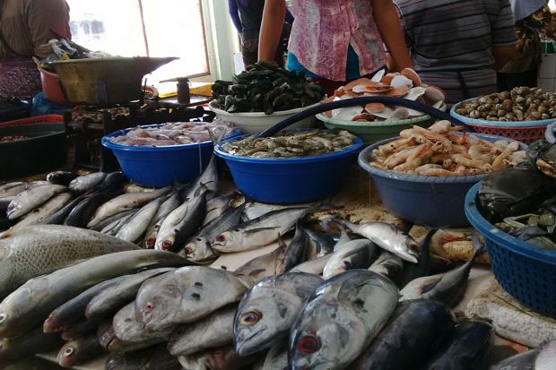 RI-Norwegia Kerja Sama...